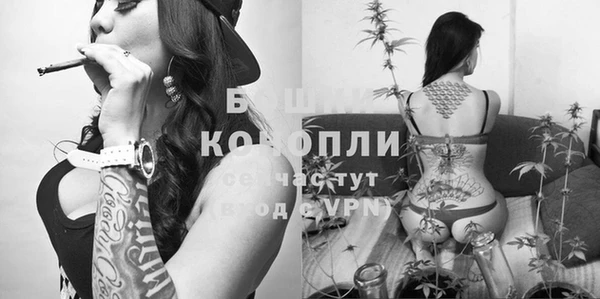 стаф Арсеньев