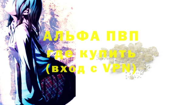 стаф Арсеньев